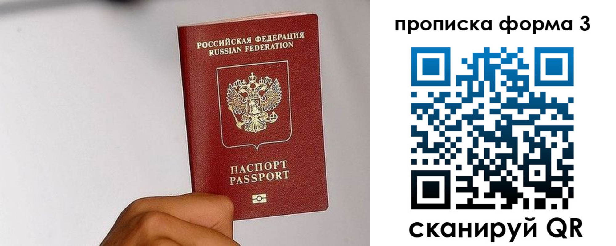 прописка иностранных граждан в Луге